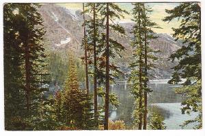 headOfFallenLeaf1907.jpg 20.6K