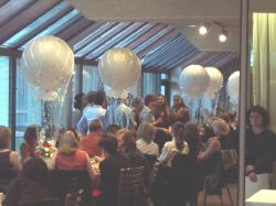 Thumb_Dcp_0917.jpg 10.1K